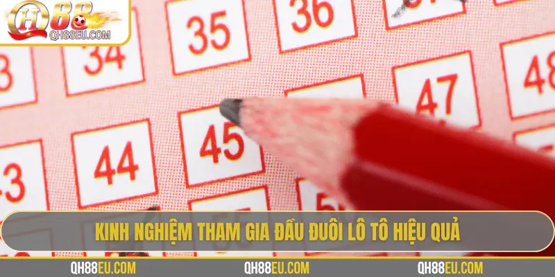 Đầu Đuôi Lô Tô: Cách Chơi Và Kinh Nghiệm Thực Tế Từ Chuyên Gia QH88 4 Kinh nghiệm tham gia đầu đuôi lô tô hiệu quả
