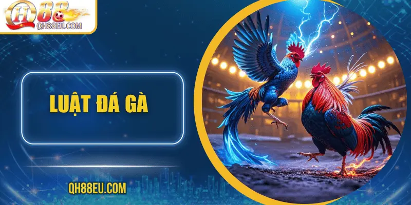 luat-da-ga