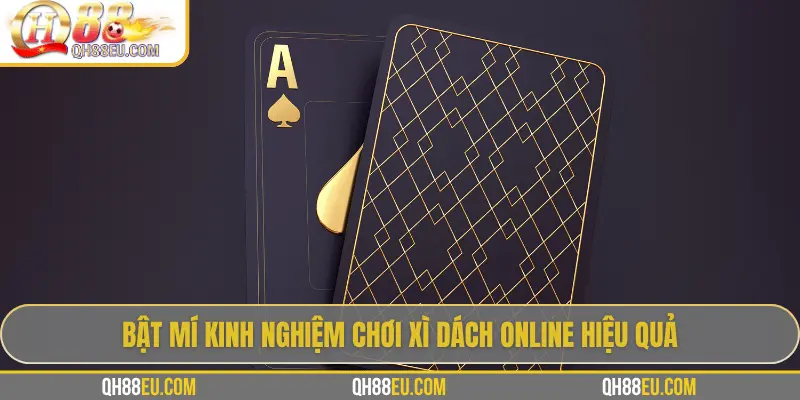 Trải Nghiệm Xì Dách Online tại QH88 – Chơi Chuẩn Luật, Thưởng Hấp Dẫn 3 Bật mí kinh nghiệm chơi xì dách online hiệu quả