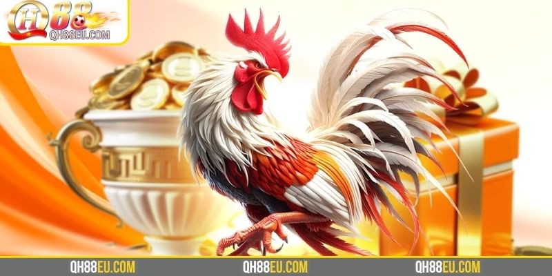 GA28 Tại QH88 – Sảnh Đá Gà Trực Tuyến Mượt Mà Nhất 2026 2 Tổng quan về khu vực đá gà GA28 QH88